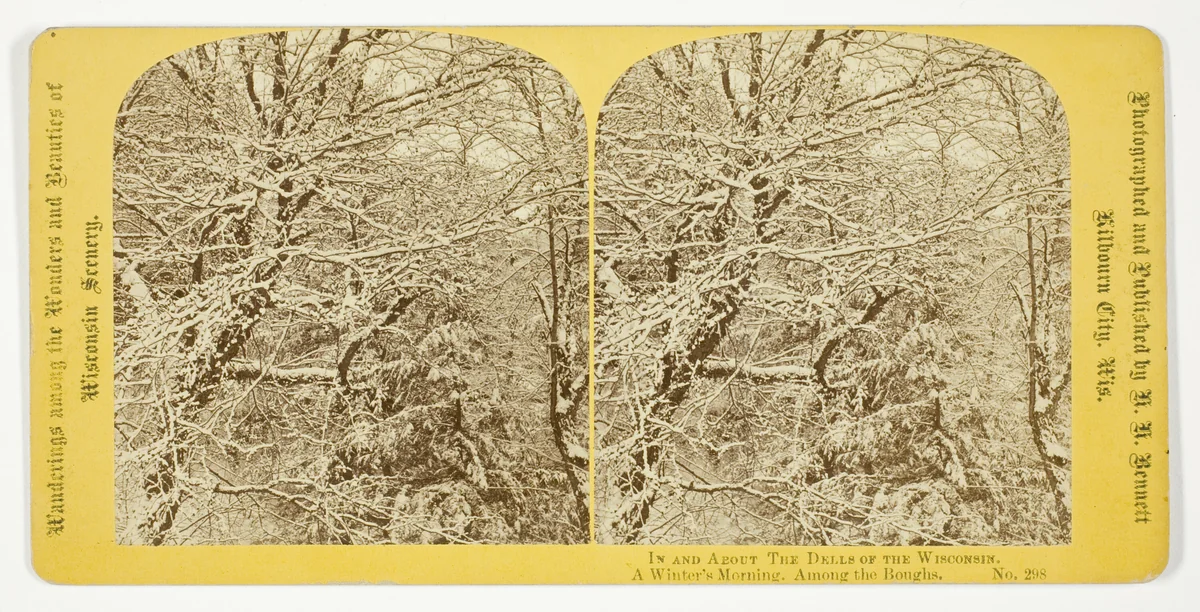 A Winter's Morning. Among the Boughs., No. 298 from the series "In and About the Dells of the Wisconsin River" by Henry Hamilton Bennett, photograph, 1870-1908