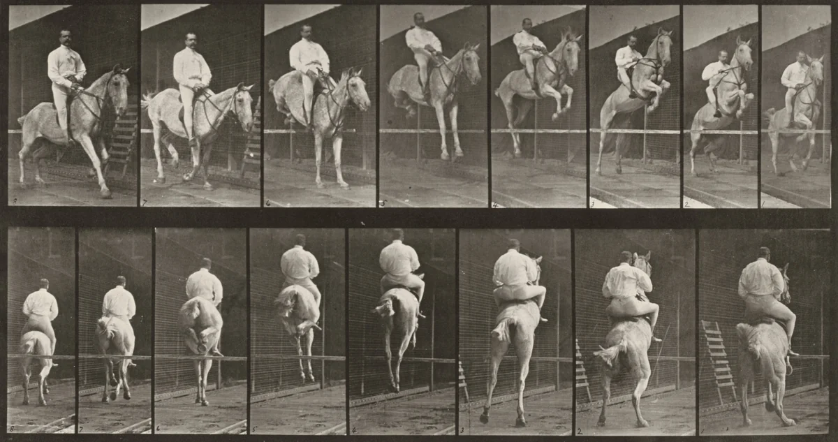 Plate Number 645. "Pandora" jumping a hurdle, saddled, clearing and landing by Eadweard Muybridge, photograph, 1887