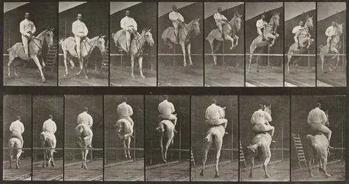 Plate Number 645. "Pandora" jumping a hurdle, saddled, clearing and landing by Eadweard Muybridge, photograph, 1887