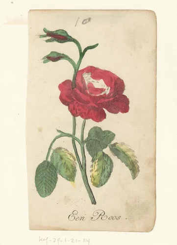 Roos by anonymous, print, 1793-1800