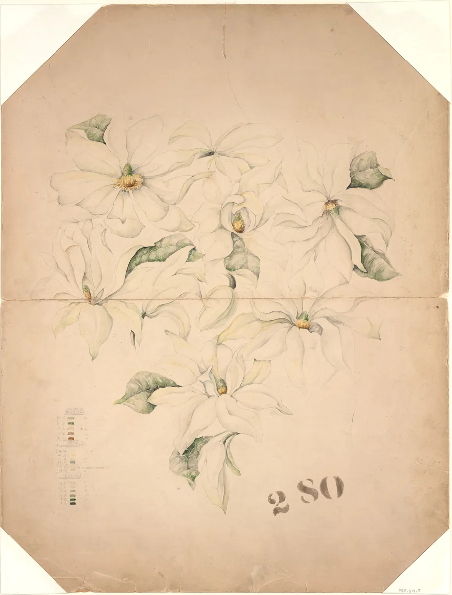 Drawing of Magnolia Vase with Enameling Notations (?) by Tiffany & Co., artwork, 1890-1896