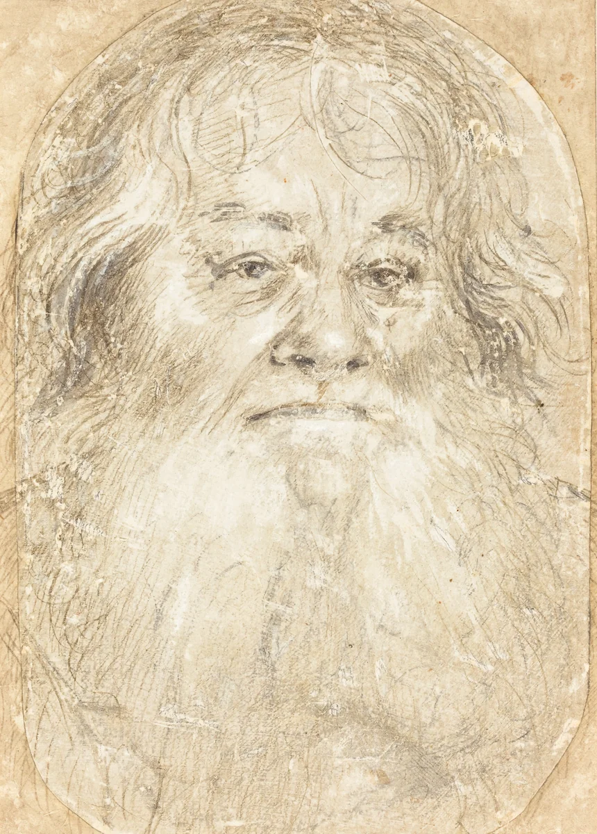 Study of a Bearded Man [verso] by Hans Holbein the Elder, drawing, 1508-1510