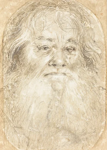 Study of a Bearded Man [verso] by Hans Holbein the Elder, drawing, 1508-1510