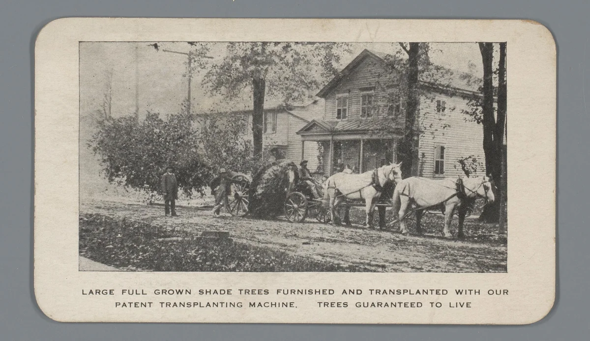 Reclame voor boomtransplantaties van E.L. Loomis te Syracuse, met gezicht op het transport van een boom met paarden en wagen en woning op de achtergrond by anonymous, photograph, 1881-1970