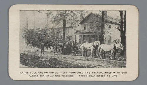 Reclame voor boomtransplantaties van E.L. Loomis te Syracuse, met gezicht op het transport van een boom met paarden en wagen en woning op de achtergrond by anonymous, photograph, 1881-1970