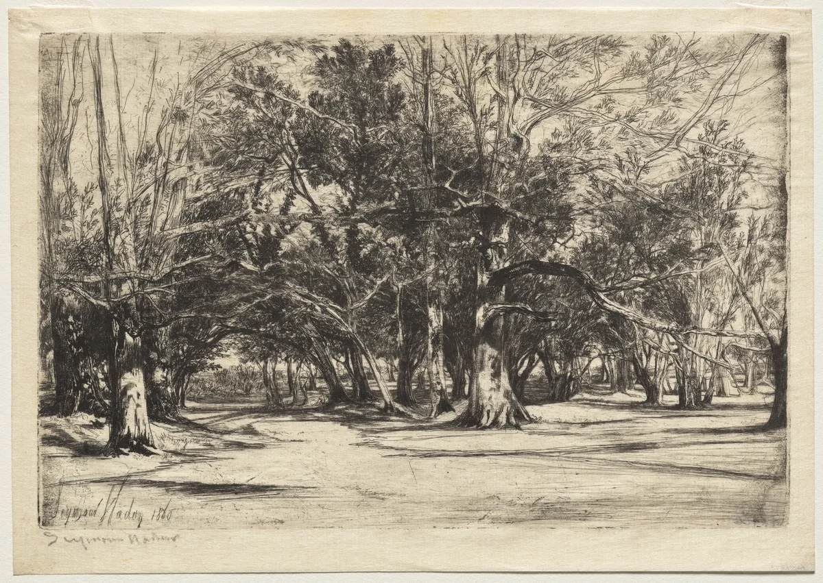 A By-Road in Tipperary by Francis Seymour-Haden, print, 1860