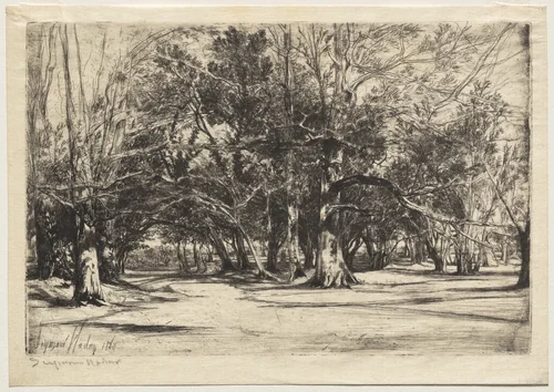 A By-Road in Tipperary by Francis Seymour-Haden, print, 1860