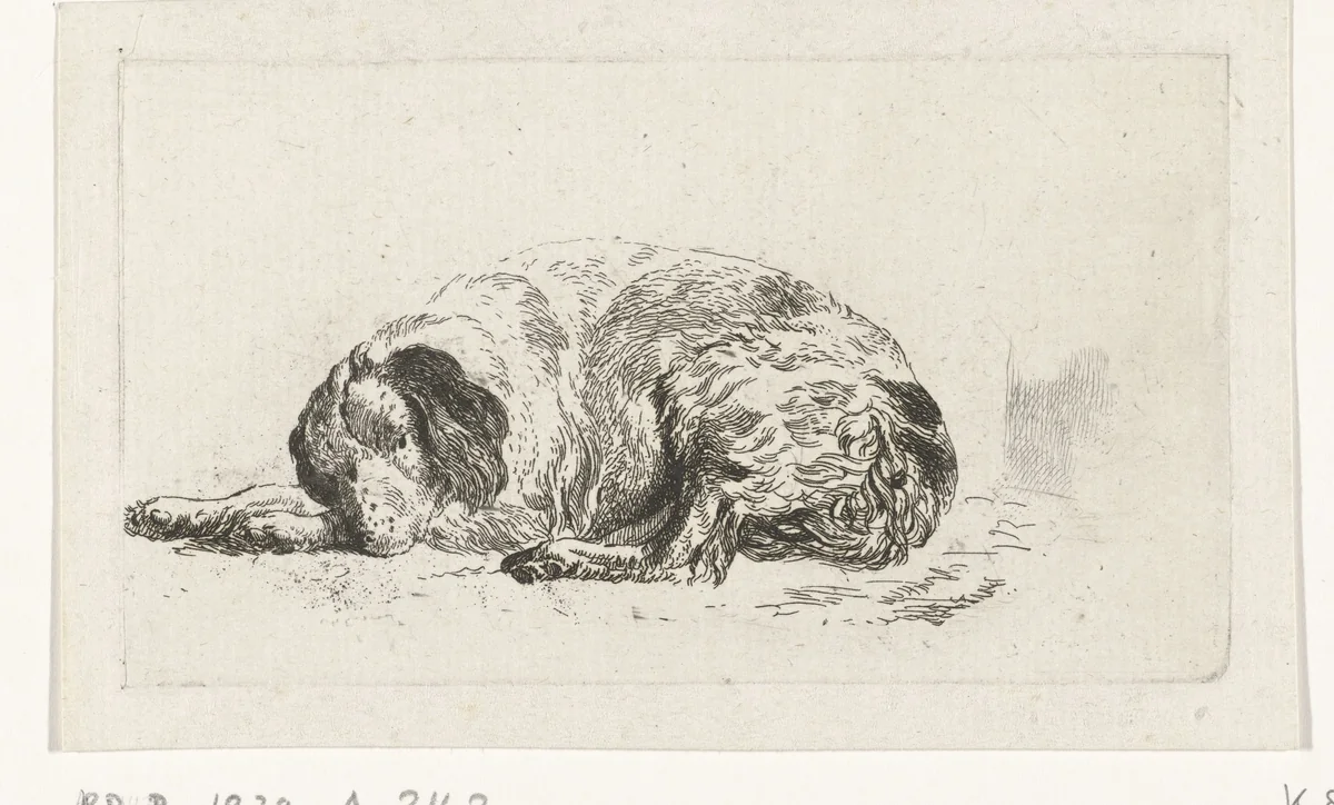 Liggende hond by Pieter Gerardus van Os, print, 1791-1839