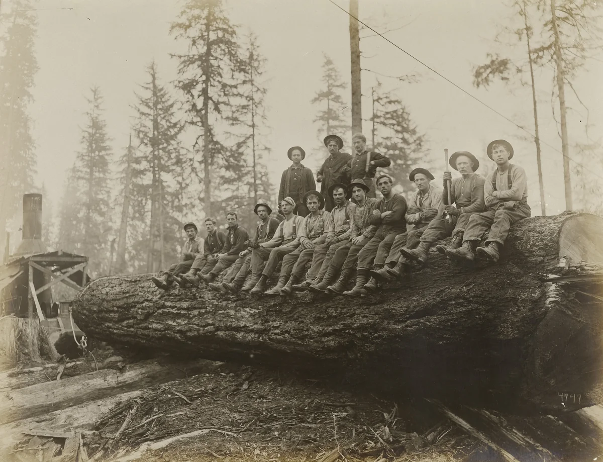 Untitled by Darius Kinsey, photograph, 1910