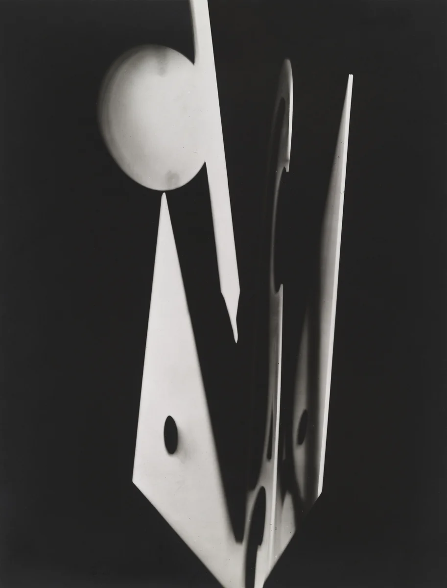 Untitled (plate 10) from the album Champs Délicieux by Man Ray, photograph, 1922