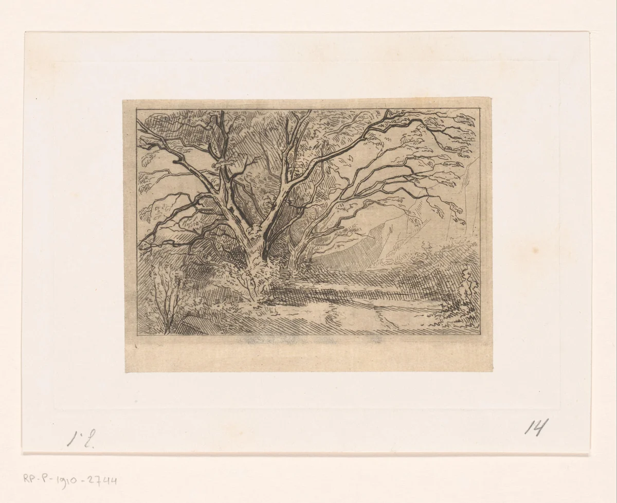 Heuvellandschap met notenbomen by Carel Nicolaas Storm van 's-Gravesande, print, 1872