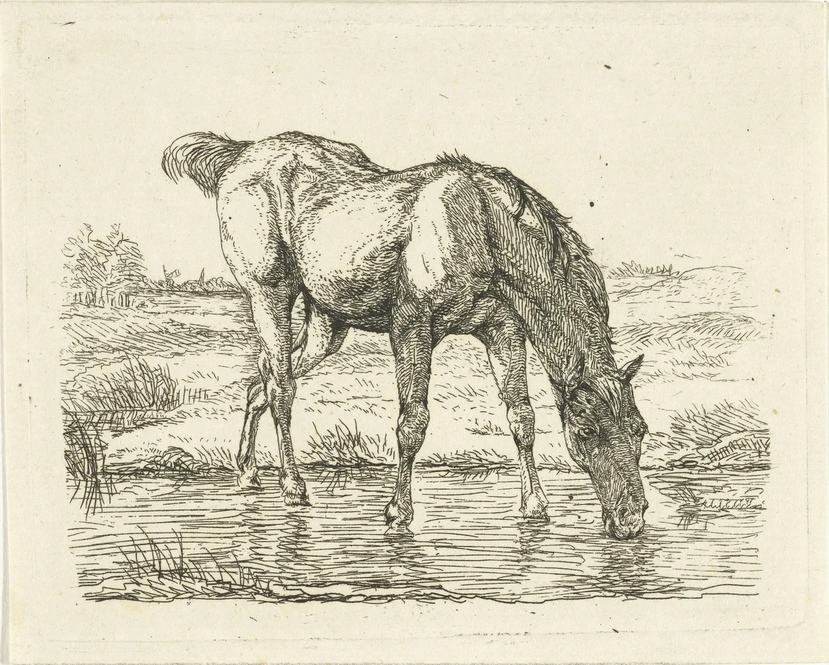 Drinkend paard by Jan Dasveldt, print, 1780-1855