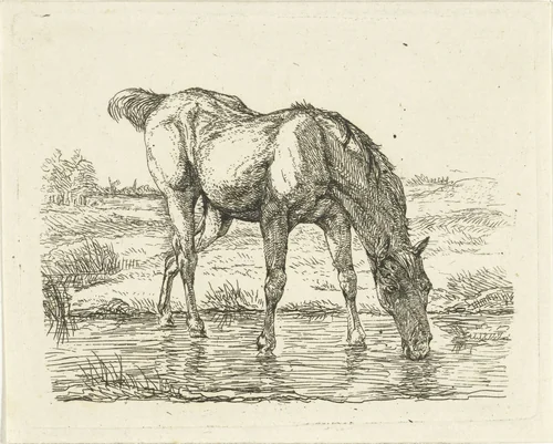 Drinkend paard by Jan Dasveldt, print, 1780-1855