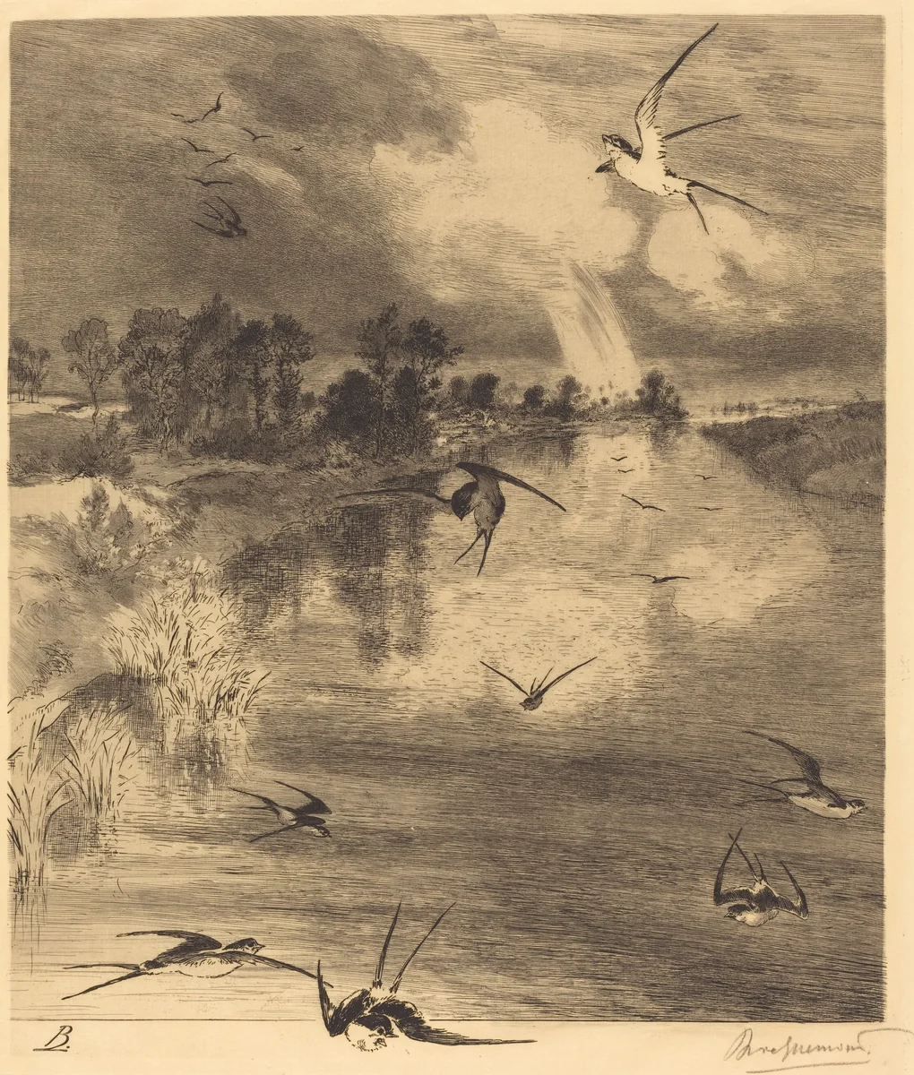 Les Hirondelles (The Swallows) by Félix Bracquemond
Frederick Keppel, print, 1882