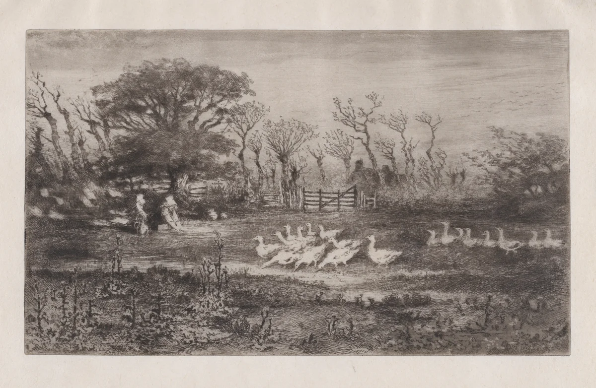 Geese by Félix Hilaire Buhot, print, 1860-1898