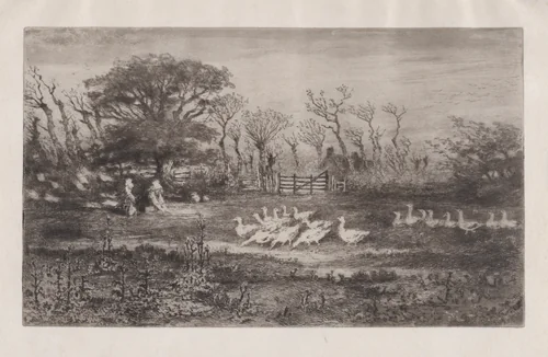 Geese by Félix Hilaire Buhot, print, 1860-1898