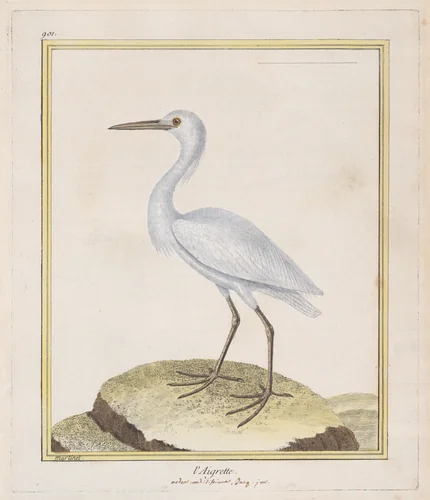 L'Aigrette (Egret), from "Histoire Naturelle de Oiseaux" by François Nicolas Martinet, print, 1770-1786
