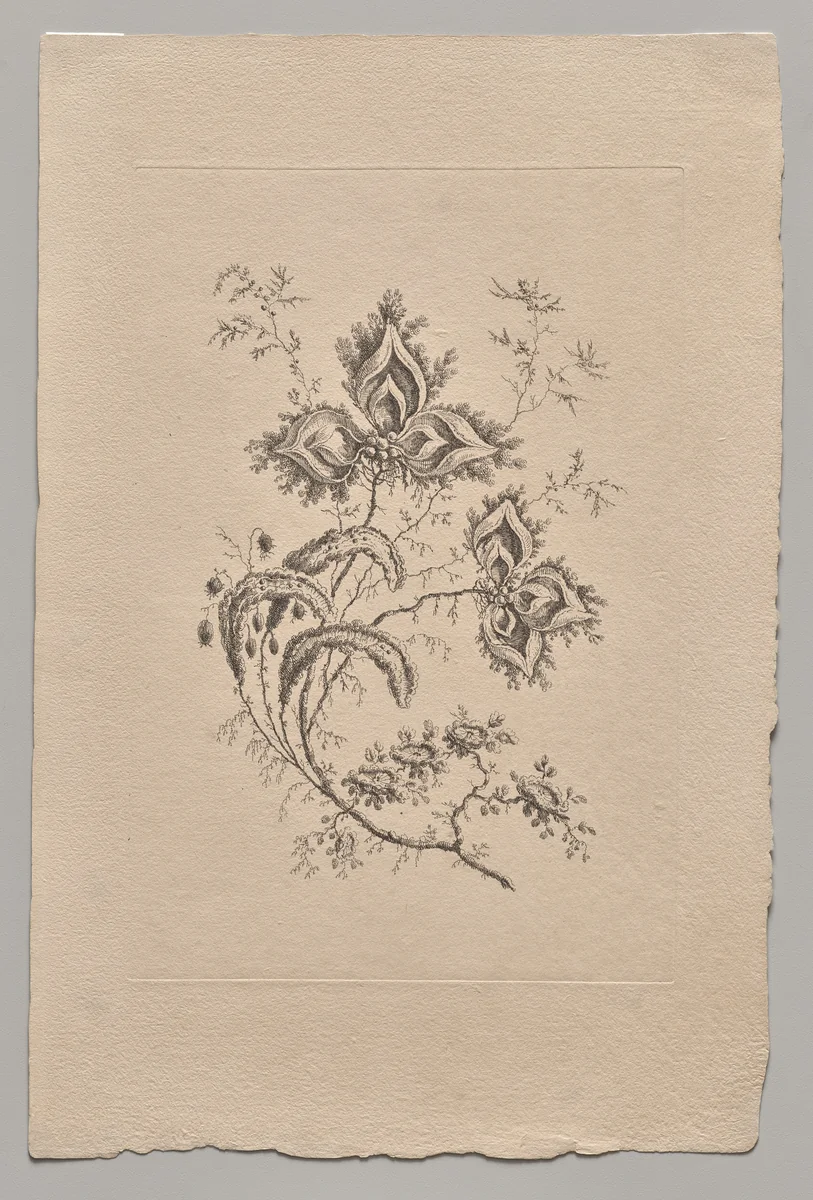 Persian Flowers by Jean Baptiste Pillement, print, 1755