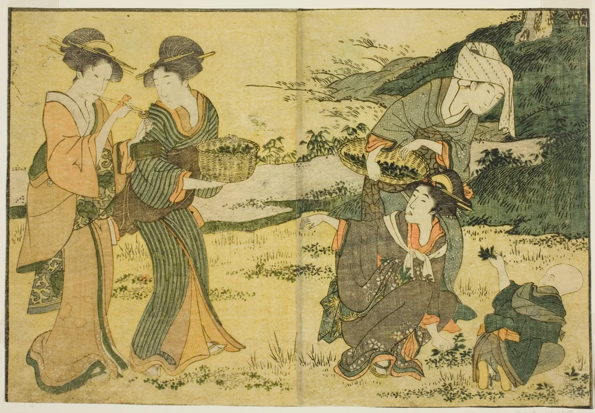 Gathering Spring Herbs, from the illustrated book "Picture Book: Flowers of the Four Seasons (Ehon shiki no hana)," vol. 1 by Kitagawa Utamaro (喜多川歌麿), print, 1801