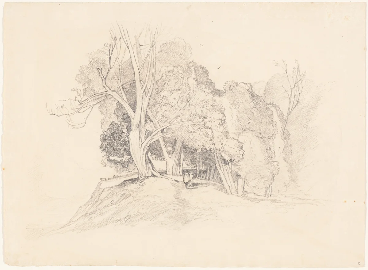 Landscape with Trees by John Sell Cotman, drawing, 1782-1842