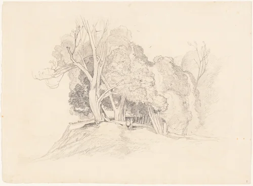 Landscape with Trees by John Sell Cotman, drawing, 1782-1842