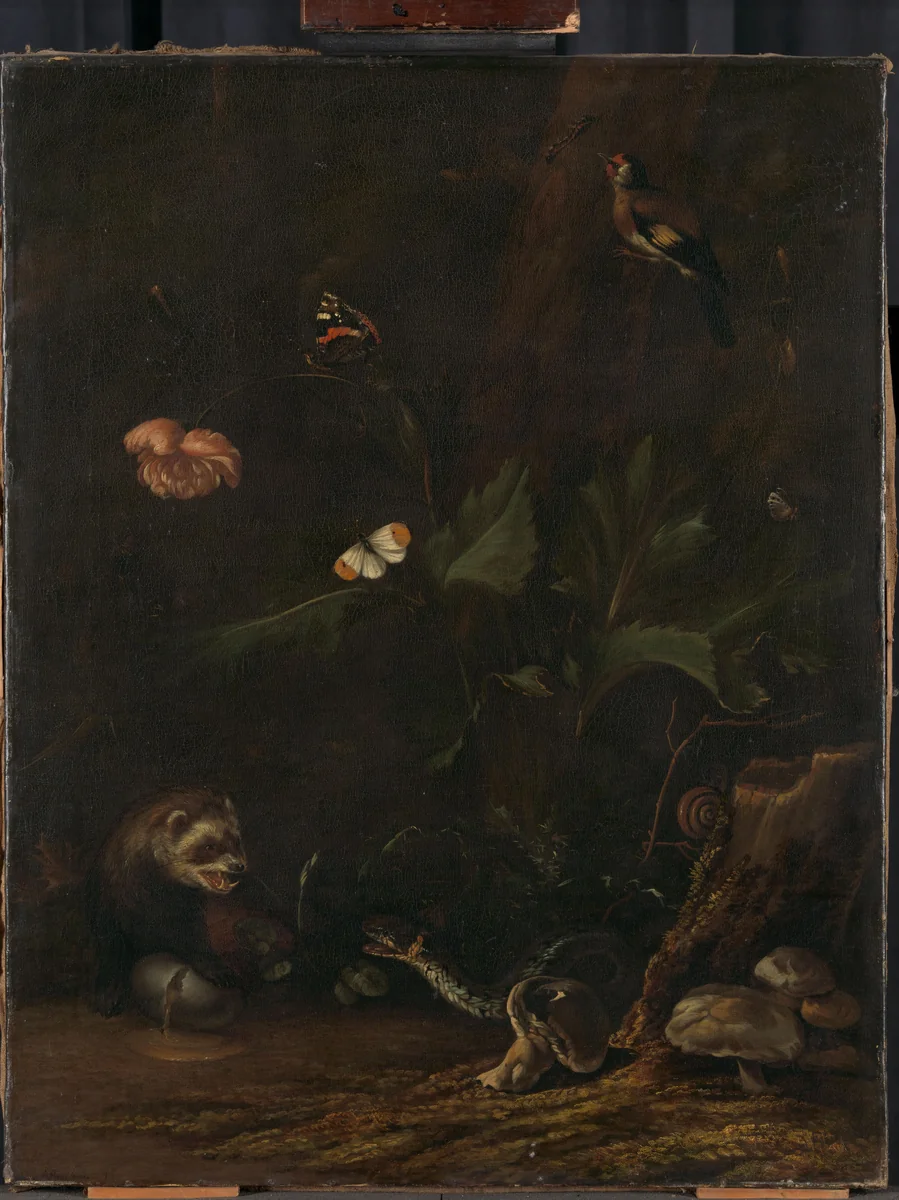 Animals and Plants by Anthonie van Borssom, painting, 1650-1677