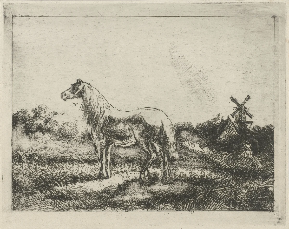 Paard in weide by Gijsbertus Craeyvanger, print, 1820-1882