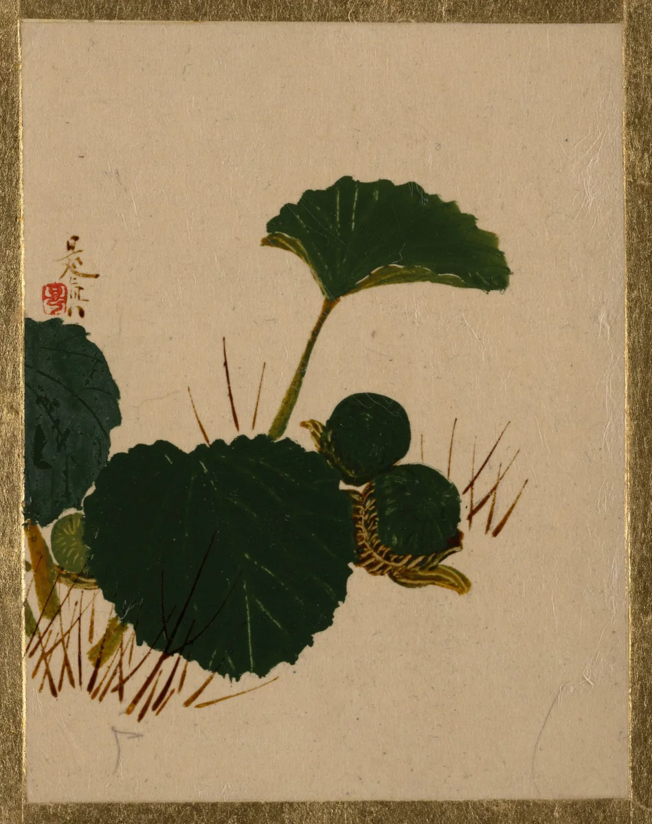 Worm on Green Leaved Plant by Shibata Zeshin (柴田是真), painting, 1807-1868