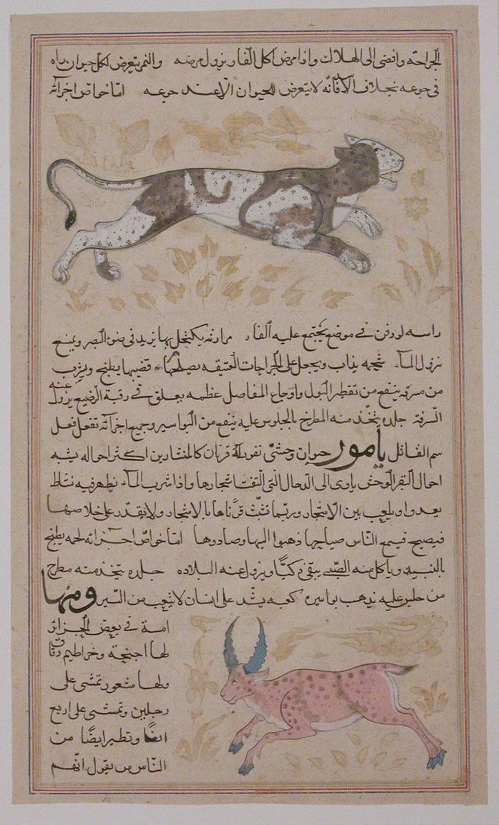 Folio from a `Aja'ib al-Makhluqat wa Ghara'ib al-Mawjudat (The Wonders of Creation and the Oddities of Existence) by Zakaria bin Muhammad bin Mahmud Abu Yahya Qazwini, manuscript, 1600-1699