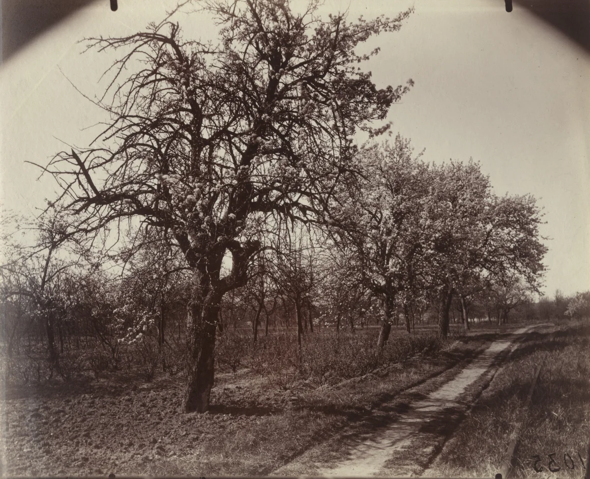 Chatenay by Eugène Atget, photograph, 1921