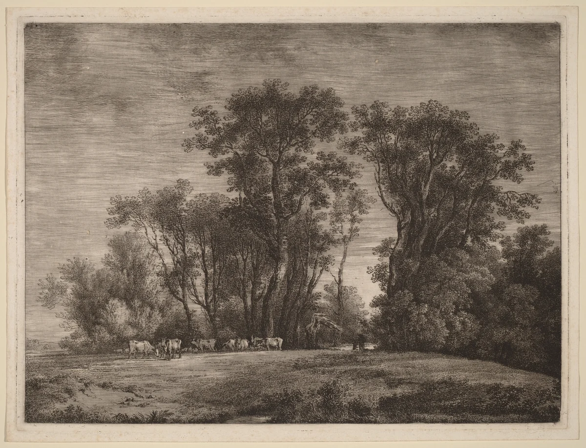 A Meadow with Cattle at the Edge of a Wood by Martin von Molitor, print, 1759-1812
