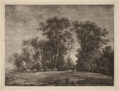 A Meadow with Cattle at the Edge of a Wood by Martin von Molitor, print, 1759-1812