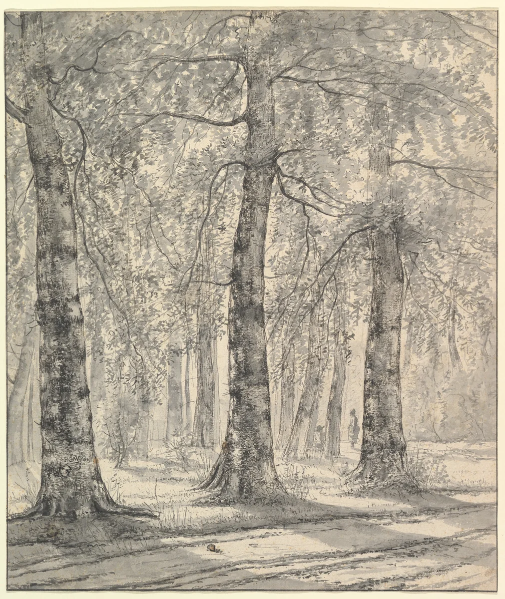Woodland Scene by Pieter George Westenberg, drawing, 1819