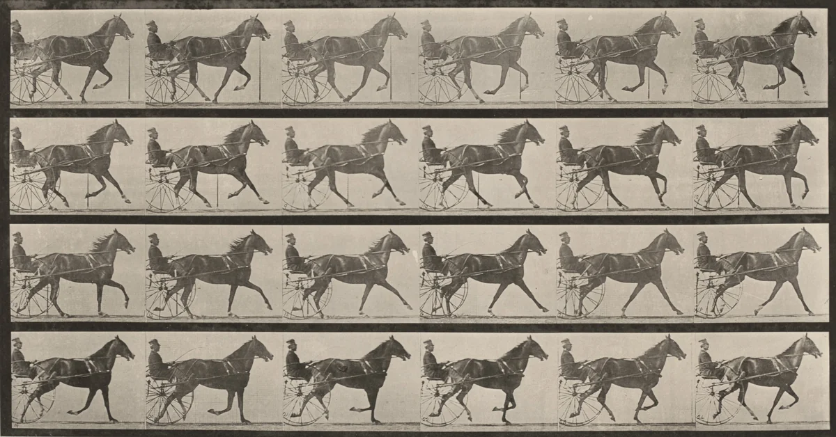 Plate Number 614. "Flode Holden" trotting, harnessed to sulky, breaking into a gallop by Eadweard Muybridge, photograph, 1887