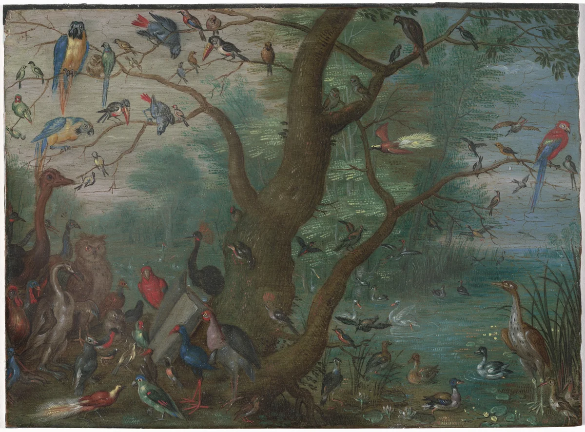 Concert of Birds by Jan van Kessel the Elder, painting, 1660-1670