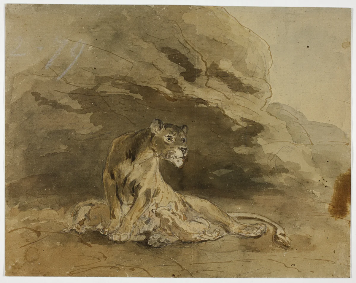 Lioness and Cubs by Sawrey Gilpin, drawing, 1753-1850