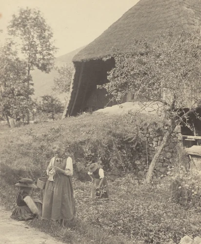 A Bit of Gutach by Alfred Stieglitz, photograph, 1894