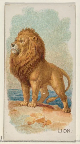 Lion, from the Quadrupeds series (N21) for Allen & Ginter Cigarettes by Allen & Ginter, print, 1890