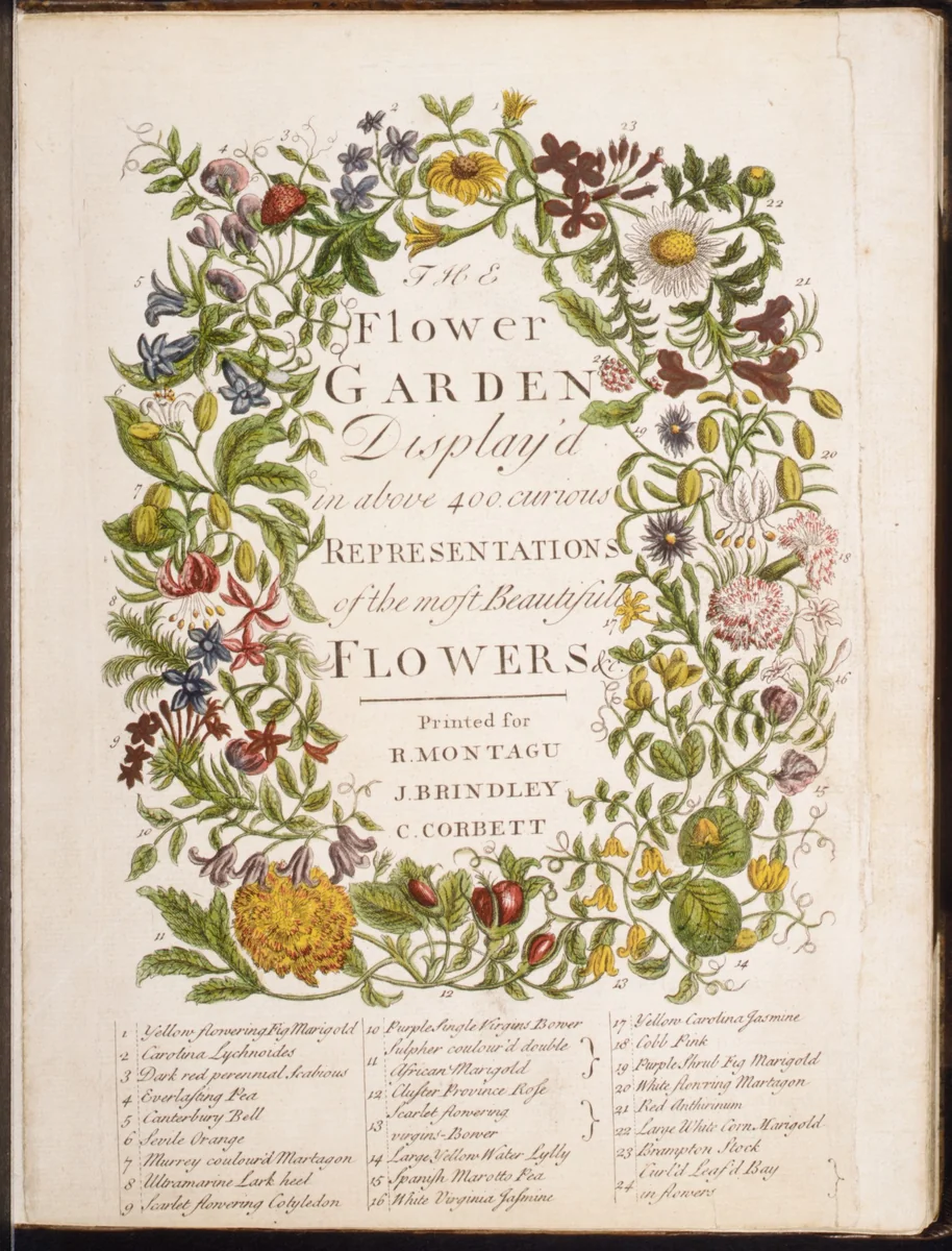 The Flower-Garden Display'd, In Above Four Hundred Curious Representations Of the Most Beautiful Flowers; Regularly Dispos'd in the Respective Months of Their Bloom by Richard Bradley, book, 1734