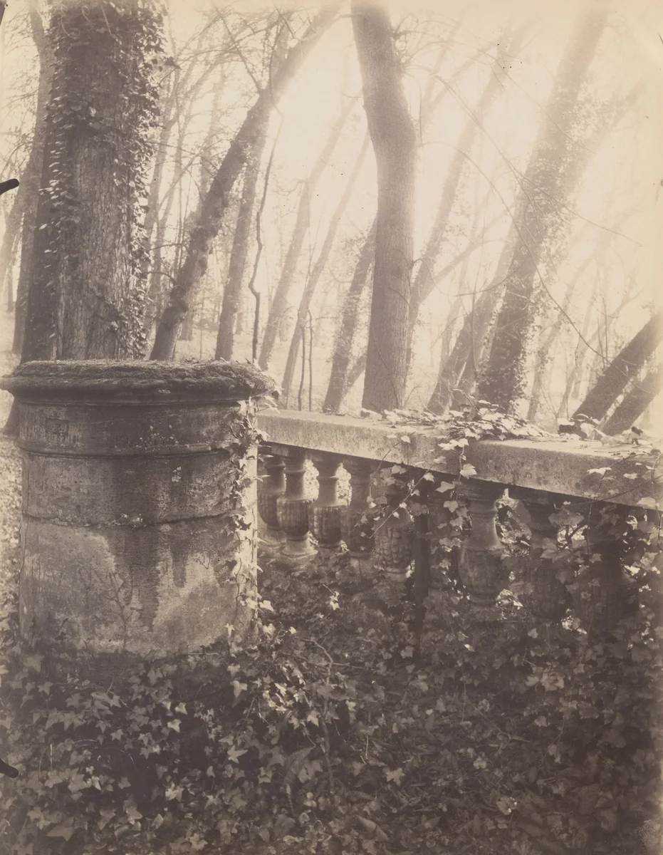 Saint-Cloud by Eugène Atget, photograph, 1924