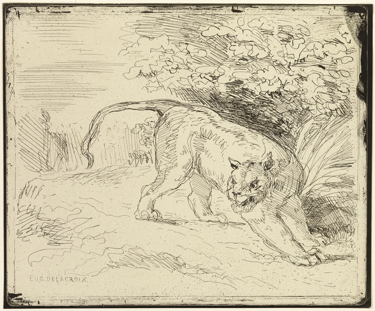 Tiger Ready to Spring by Eugène Delacroix, print, 1818-1863
