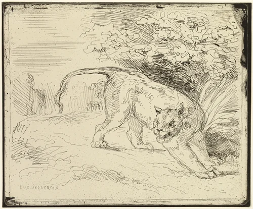 Tiger Ready to Spring by Eugène Delacroix, print, 1818-1863