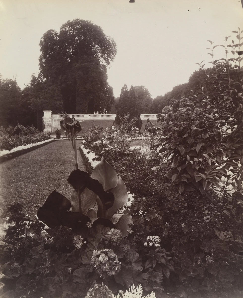 Saint-Cloud by Eugène Atget, photograph, 1922