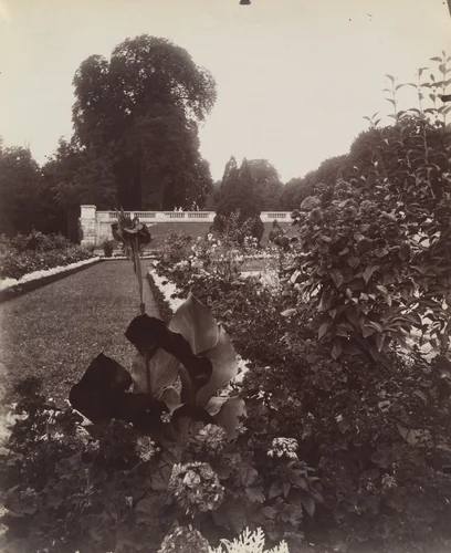 Saint-Cloud by Eugène Atget, photograph, 1922