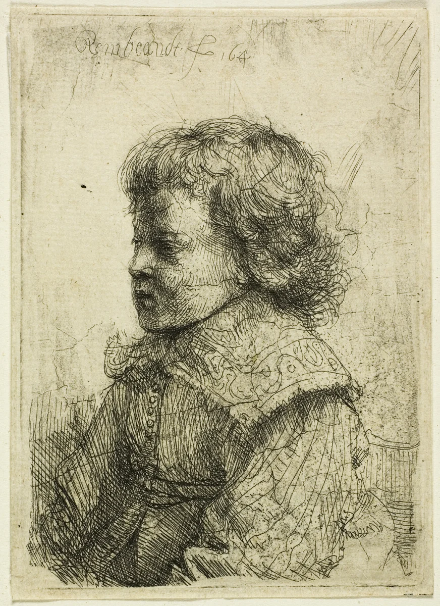 Portrait of a Boy by Rembrandt van Rijn, print, 1641