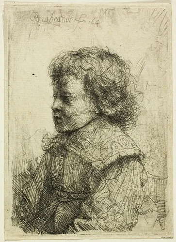 Portrait of a Boy by Rembrandt van Rijn, print, 1641