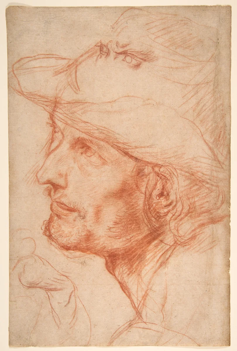 Head of a Man by Antonio d'Enrico Tanzio, drawing, 1575-1633
