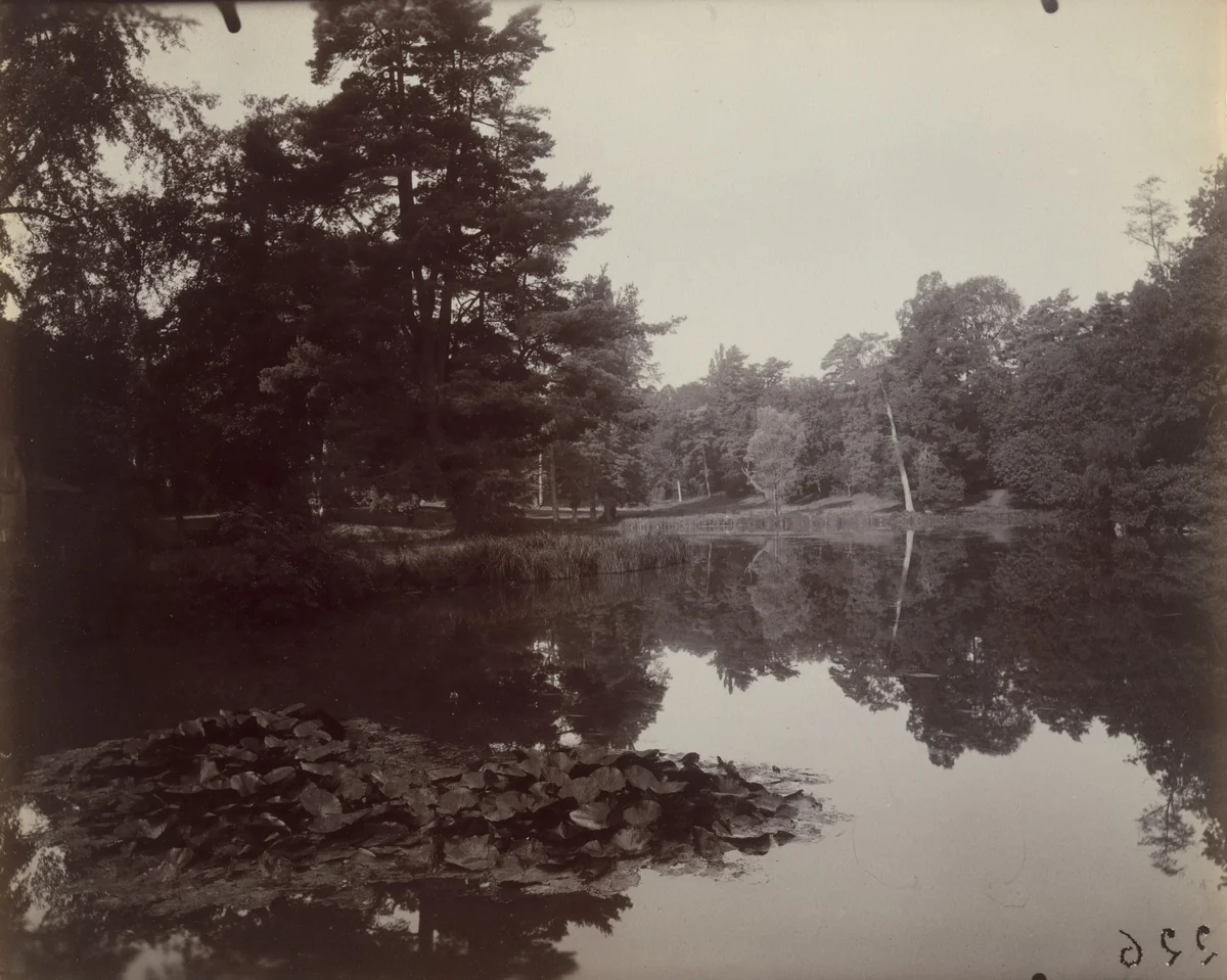 Trianon -- Étang by Eugène Atget, photograph, 1923
