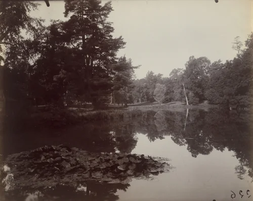 Trianon -- Étang by Eugène Atget, photograph, 1923