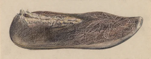 Shoe by Melita Hofmann, index of american design, 1935-1942